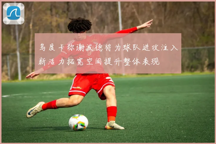 乌度卡称谢泼德将为球队进攻注入新活力拓宽空间提升整体表现