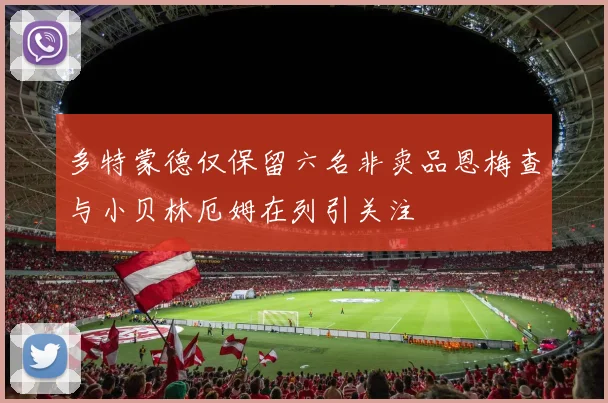 多特蒙德仅保留六名非卖品恩梅查与小贝林厄姆在列引关注